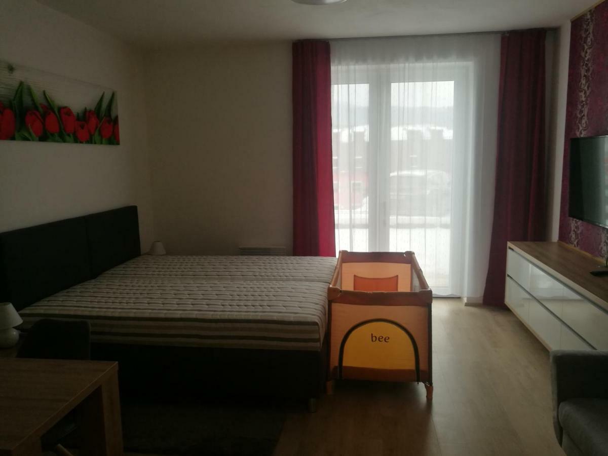 Apartment Sport Dolni Morava
